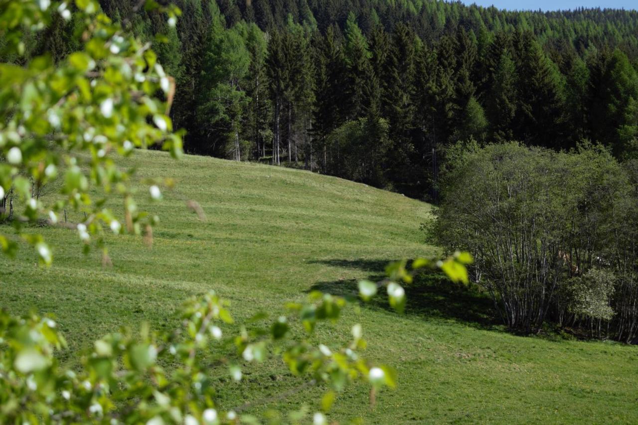 Landhaus Holzer Sankt Margarethen im Lungau Buitenkant foto